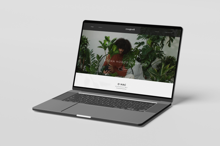 Первый подписчик